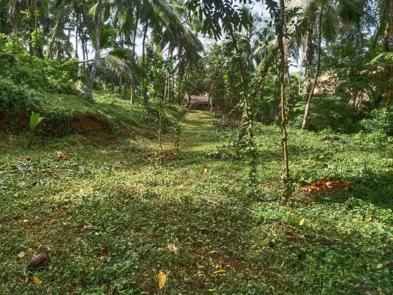 🏡 කළුතර නගරයෙන් කි.මි. 3.4 – හීනටියංගල, මයුර පෙදෙස නිරවුල් ඔප්පු සහිත පර්චස් 70 ඉඩම විකිණීමට - Image 8