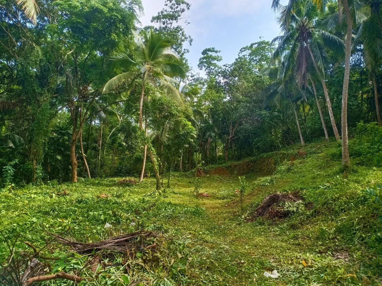 🏡 කළුතර නගරයෙන් කි.මි. 3.4 – හීනටියංගල, මයුර පෙදෙස නිරවුල් ඔප්පු සහිත පර්චස් 70 ඉඩම විකිණීමට - Image 4