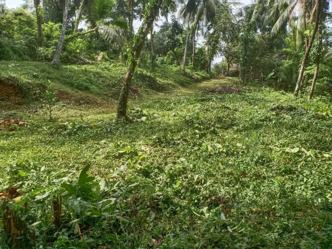 🏡 කළුතර නගරයෙන් කි.මි. 3.4 – හීනටියංගල, මයුර පෙදෙස නිරවුල් ඔප්පු සහිත පර්චස් 70 ඉඩම විකිණීමට - Image 7